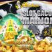OTMega88 Slot Jackpot Favorit Pemain Profesional